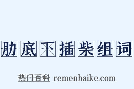 肋底下插柴组词是什么意思的图片
